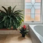 Best Bathroom Plants