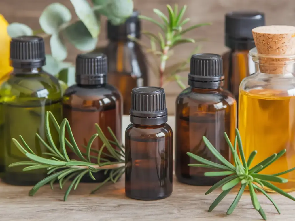 Essential Oils for Houseplant Care