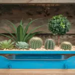 DIY Self-Watering Planters