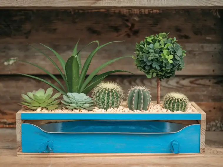 DIY Self-Watering Planters