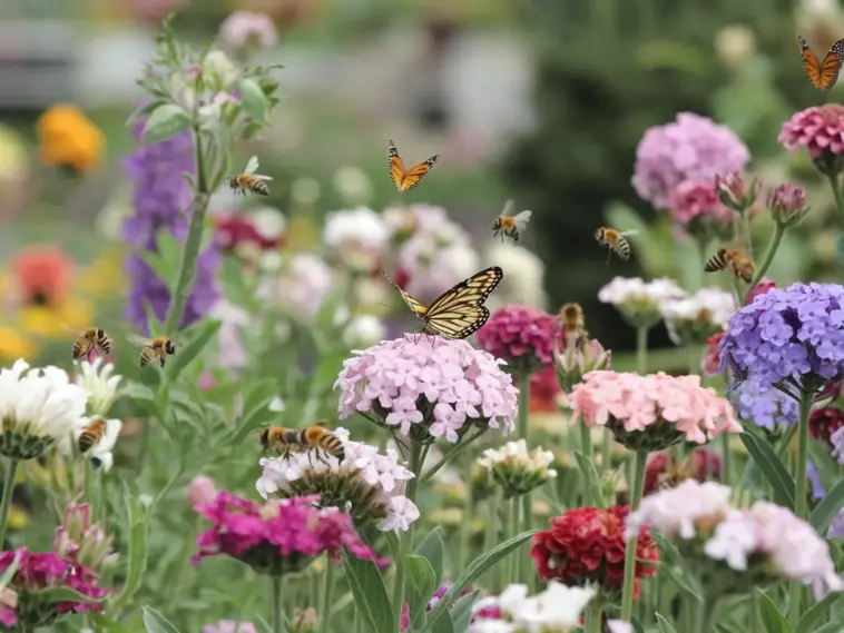 Flower Garden Designs That Butterflies & Bees Love
