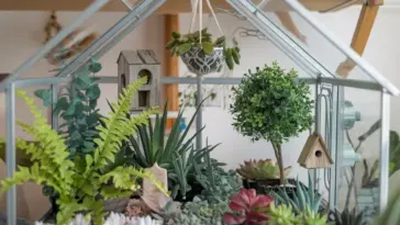 mini greenhouse indoor