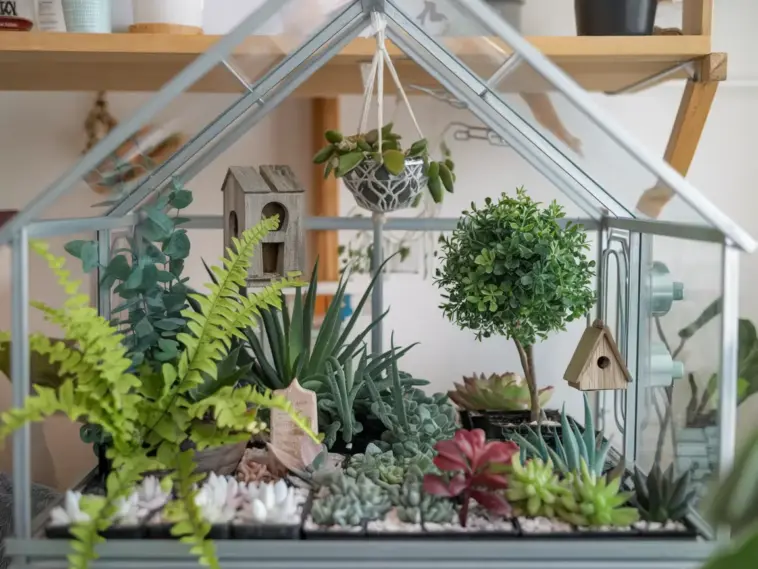 mini greenhouse indoor