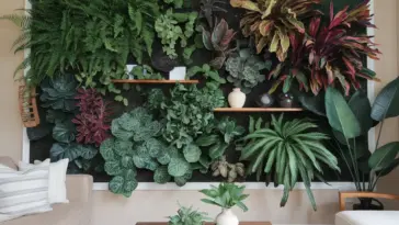 vertical garden wall indoor living room