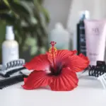 A photo of a red hibiscus flower placed on a white surface. There are various hair care products, such as a comb, hair clips, and a hair spray bottle, placed around the flower. The background is blurred and contains a plant, a bottle, and a cosmetic product.