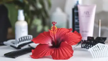 A photo of a red hibiscus flower placed on a white surface. There are various hair care products, such as a comb, hair clips, and a hair spray bottle, placed around the flower. The background is blurred and contains a plant, a bottle, and a cosmetic product.