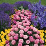 A photo of a unique flower garden design with a color combination of pink, purple, blue, and yellow flowers. There are pink roses, purple lavender, blue delphiniums, and yellow marigolds. The flowers are arranged in a pattern, with the pink roses in the center, surrounded by purple lavender, blue delphiniums, and yellow marigolds. The background is a lush green lawn.