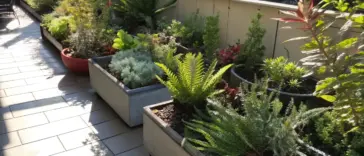 Container plants for partial sun thrive on this urban balcony, featuring a thoughtfully arranged collection of succulents, ferns, and leafy specimens in various decorative pots along the railing. The filtered sunlight creates dappled shadows on the tiled floor, while the building's reflective windows provide a modern backdrop to this diverse green oasis.