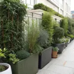 Container plants for privacy create an elegant urban oasis along a building facade, featuring a diverse collection of potted shrubs and greenery at varying heights. The well-organized arrangement includes both tall screening plants and shorter decorative varieties in assorted containers, forming a natural barrier between the street and building. The street-level view showcases how container gardening can transform an urban space into a lush, private sanctuary.