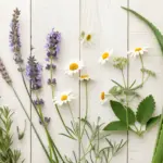 A collection of herbal plants for skin care arranged naturally on white wooden planks, featuring fresh lavender sprigs, chamomile daisies, and green botanicals. The overhead shot captures medicinal flowers and healing herbs in a rustic, garden-fresh composition.