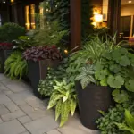 Container plants for shade thrive in this lush garden setting, featuring potted ferns and various greenery arranged along a stone-paved walkway. The garden borders a building whose warm interior lights cast a golden glow through windows, illuminating the shade-loving container garden in the evening hours.