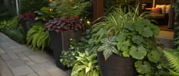 Container plants for shade thrive in this lush garden setting, featuring potted ferns and various greenery arranged along a stone-paved walkway. The garden borders a building whose warm interior lights cast a golden glow through windows, illuminating the shade-loving container garden in the evening hours.