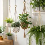 A bright, aesthetically pleasing indoor setting featuring multiple hanging plants in stylish pots, showcasing a "hanging plants diy" vibe with various macrame and rope hangers.
