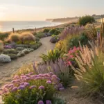 A sandy path winds through a vibrant coastal garden filled with colorful summer plants, leading towards a beach with the sun setting over the ocean in the background.