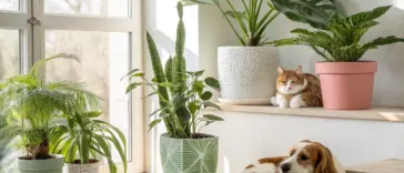 Bright, sunlit indoor scene featuring a variety of pet friendly house plants, including a snake plant, parlor palm, and monstera, with a relaxed orange and white cat resting near a pink pot and a brown and white dog lounging on light wooden steps.