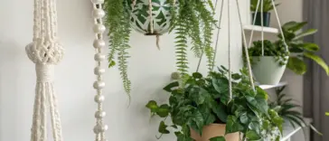 Bright indoor scene featuring a variety of lush wall hanging plants, including ferns and trailing greenery in decorative pots, suspended by macrame and beaded hangers against a white wall with shelving.