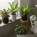 A collection of vibrant "Bathroom Plants" are arranged in a well-lit bathroom, featuring a diverse range of greenery in various pots, including a white orchid next to a bathtub, and several leafy plants on a windowsill.