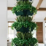 Green vertical garden with a three-tiered black planter system, featuring snake plants and pothos. This image is a great example of plant wall ideas indoor for modern home decor, adding natural elements and texture to a living space.