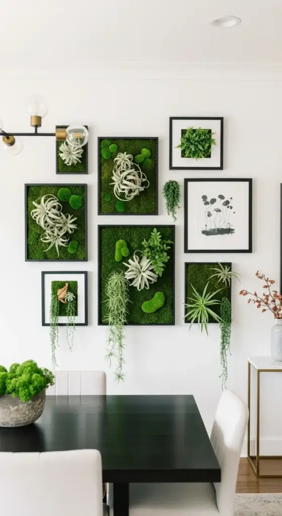 A white wall features a gallery of framed plant art, consisting of several black frames containing various arrangements of moss, air plants, and other greenery. This collection highlights creative and modern plant wall ideas indoor, perfect for adding a biophilic touch and a focal point to a dining room or living space.