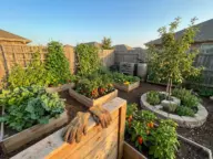A productive mini farm in less than half an acre featuring raised garden beds, a fruiting apple tree, and vertical trellises in a small backyard.