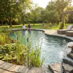 DIY natural pool filtration system with regeneration zone, aquatic plants, and clear chemical-free summer swimming pool