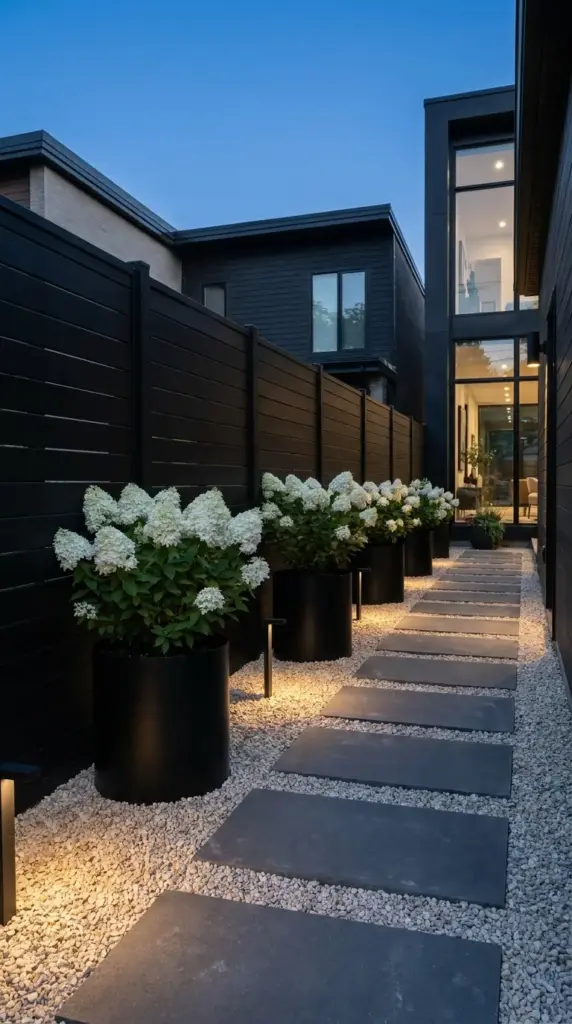 modern narrow side yard with dark fence white hydrangeas gravel path and clean lines
