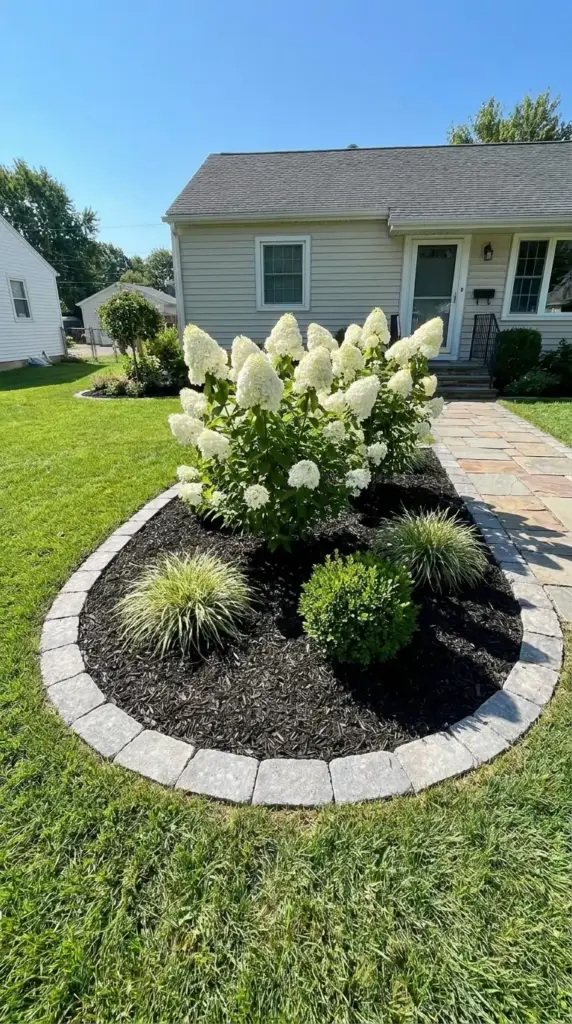 Low-maintenance mulched island bed with hydrangeas in a small front yard lawn