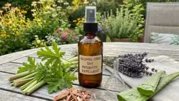 DIY mosquito repellent spray with essential oils and without rubbing alcohol in amber bottle on summer patio