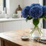 Hydrangea bouquet kept fresh with the alum powder trick in a glass vase at home
