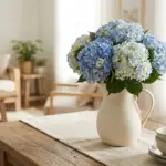 hydrangea arrangement in ceramic pitcher as a clear vase alternative for cut hydrangeas indoors