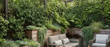 Living wall fence backyard privacy screen with climbing plants, trellis, and modern garden seating