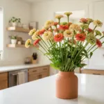 A fresh bouquet of long stem zinnias in a terracotta vase on a modern kitchen counter highlighting exceptional stem strength.