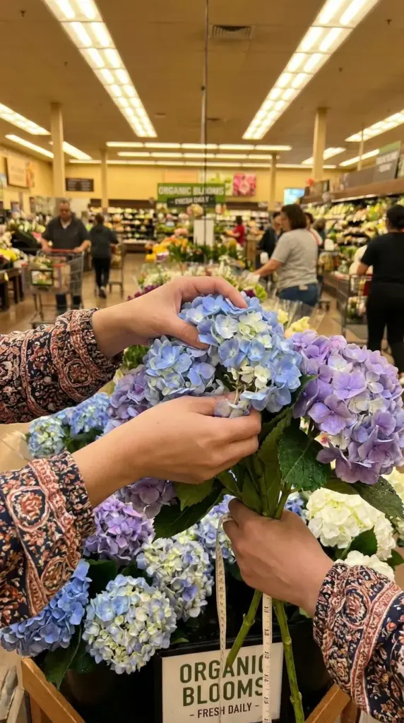 Choosing fresh grocery store hydrangeas with strong stems and healthy blooms for a longer lasting bouquet