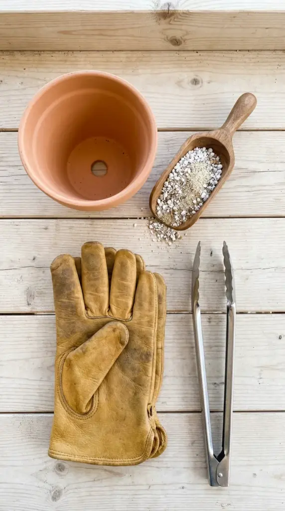 Essential tools for cactus propagation including a terracotta pot, coarse sand, perlite soil mix, and protective leather gloves.