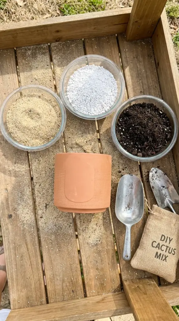 An overhead flat-lay of terracotta pots and ingredients to mix custom gritty cactus soil.