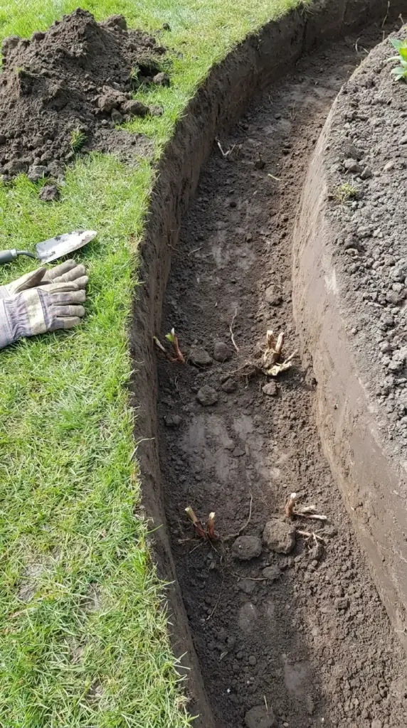 Prepping the ground and digging a curved trench for stable brick edging