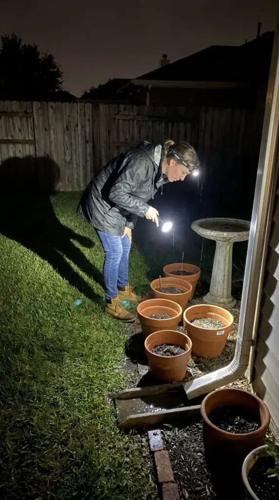 Midnight yard audit with flashlight checking for standing water and mosquito hotspots around the home