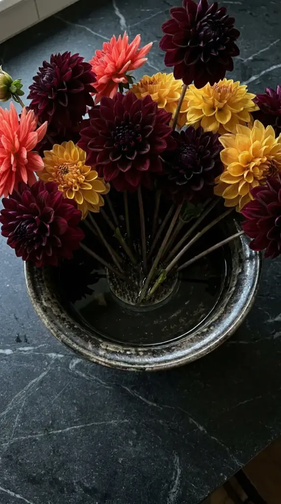 A high-contrast dramatic dahlia flower arrangement with burgundy and coral blooms in a shallow compote bowl.