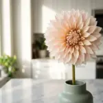 A massive, perfect Cafe au Lait dahlia flower with long stems styled in a bright, modern interior setting.