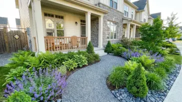 Small low-maintenance front yard landscaping with a gravel pathway and perennial flowers.