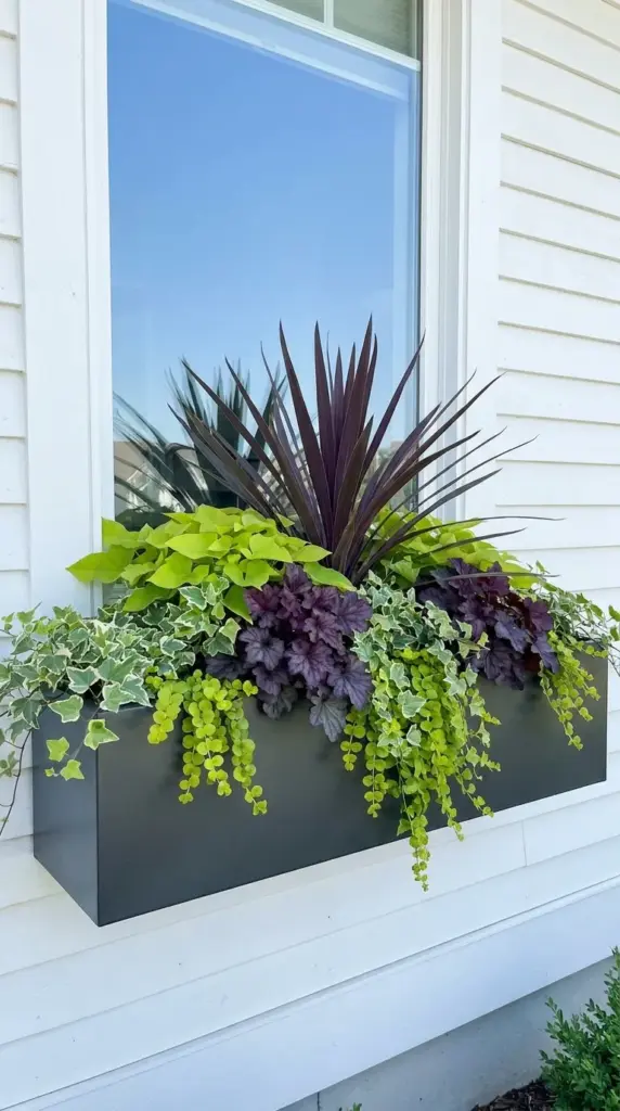 Self-watering window box with cascading sweet potato vine and colorful plants.