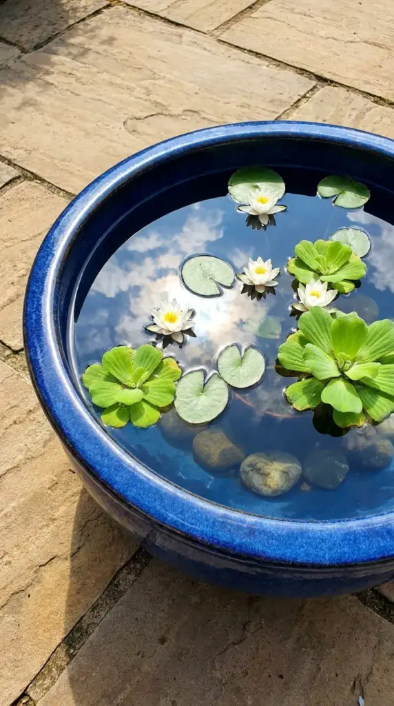 A large glazed ceramic pot filled with water lilies acting as a mini aquatic patio pond.