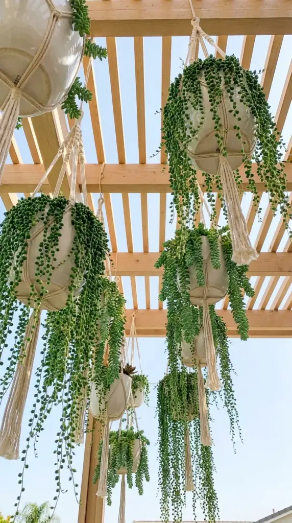 A hanging macramé succulent chandelier cluster cascading beautifully from a patio pergola roof.