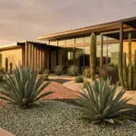 Modern desert modernism succulent garden design featuring architectural agave and geometric landscaping in a stylish front yard.