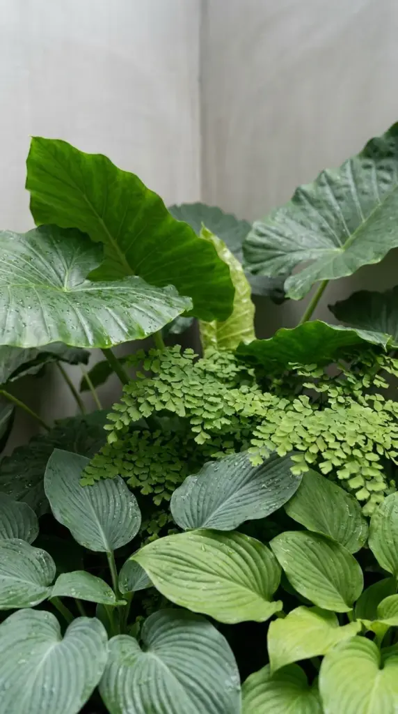 A monochromatic green patio corner featuring overlapping textures of elephant ears and ferns.