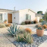Modern xeriscape front yard design with drought tolerant plants and decorative gravel landscaping.