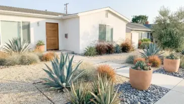 Modern xeriscape front yard design with drought tolerant plants and decorative gravel landscaping.