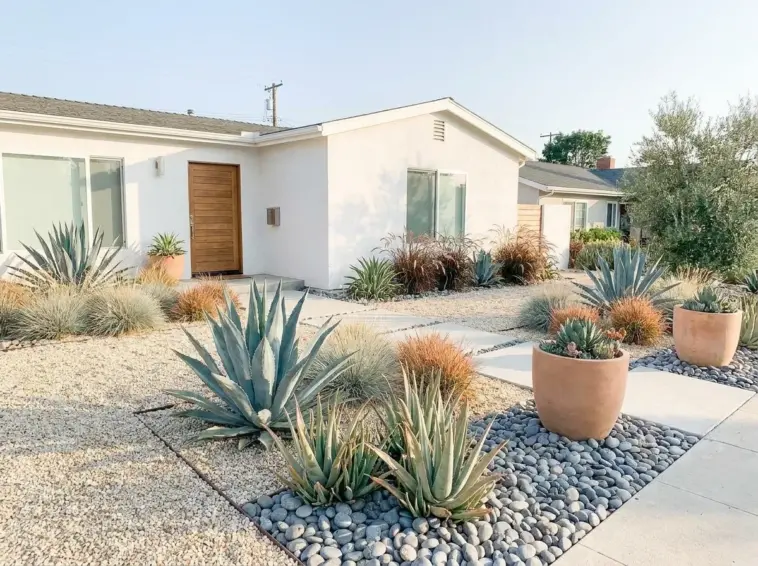 Modern xeriscape front yard design with drought tolerant plants and decorative gravel landscaping.