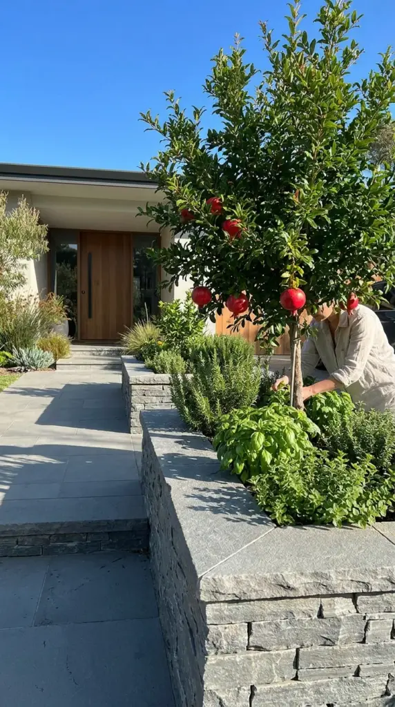 Edible xeriscape garden with stone raised beds growing drought-tolerant herbs and fruit bushes.