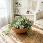 A beautiful and low maintenance indoor succulent arrangement centerpiece in a terracotta bowl on a modern wooden table.